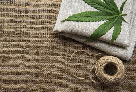  Hemp: Upeat Kuituominaisuudet Tekstiiliteollisuuden Hyödyksi!