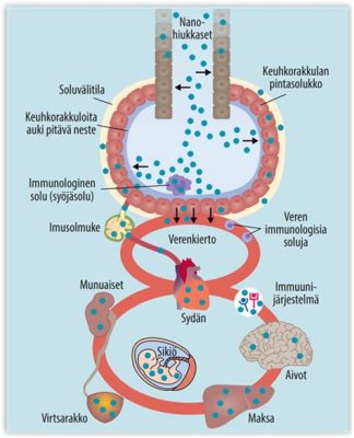  Zinkoksidi nanomateriaalit: Kuinka korroosionkestävyys ja fotokatalyyttiset ominaisuudet muuttavat maailmaa?